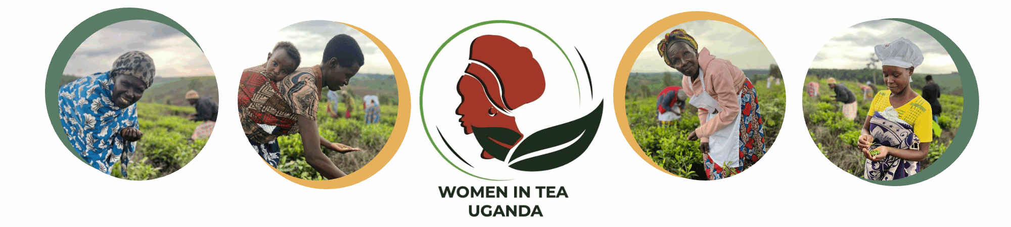 Women in Tea Uganda